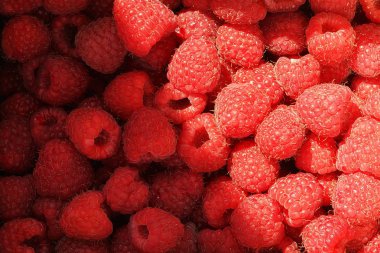 Taze ahududu yakın çekim arka plan dokusu 