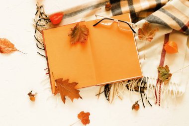 Sonbahar arka plan. Kitap metin düzeni için açık, yukarı alay, bir kafes, gözlük ve hafif bir antika arka plan üzerinde sonbahar yaprakları eşarp. Düz yatıyordu. Üstten görünüm. Kopya alanı