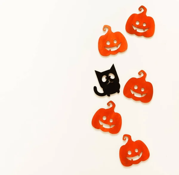 Halloween Decoraciones Concepto Fondo Pumpkin Gato Negro Sobre Fondo Blanco — Foto de Stock