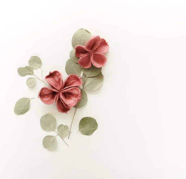 Bloemen Achtergrond Patroon Gemaakt Van Bleke Roze Droge Bloemen Eucalyptus — Stockfoto