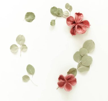 Çiçekler arka plan. Soluk pembe Kuru çiçekler ve okaliptüs dalları beyaz zemin üzerine desen çelenk çerçeve yaptı. Yat, kare görünümü, top. Kopya alanı