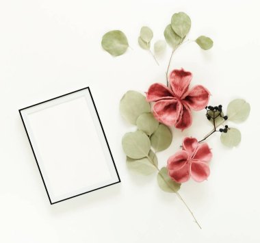 Çiçekler arka plan kompozisyon. Fotoğraf çerçevesi kadar alay, çiçekler ve okaliptüs dalları beyaz zemin üzerine kurutulmuş. Tatil kavramı. Düz yatıyordu, en iyi görünüm, kopya alanı