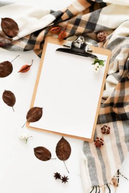 utumn arka plan ile pano kadar alay, bir kafes ve beyaz bir arka plan üzerinde sonbahar yaprakları eşarp. Düz yatıyordu. Üstten görünüm. Kopya alanı