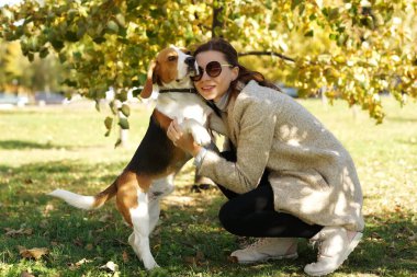 Onu sevimli beagle köpek sonbahar parkta sarılma genç çekici kız