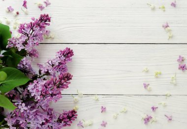 Çiçek desenli leylak bahar çiçekleri Beyaz ahşap zemin üzerinde bir şube. üstten görünüm. düz yatıyordu. Tatil kavramı. Kopya alanı