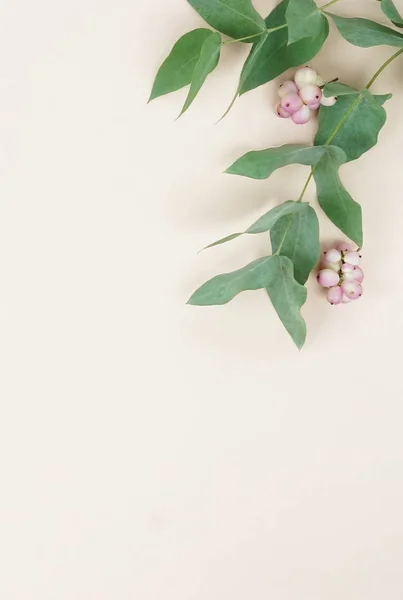 Composizione Dei Fiori Cornice Composta Vari Fiori Rosa Rami Eucalipto — Foto Stock