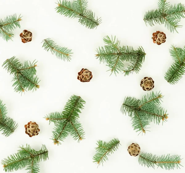 Kerstmis Samenstelling Achtergrond Patroon Van Spar Takken Kegels Een Witte — Stockfoto