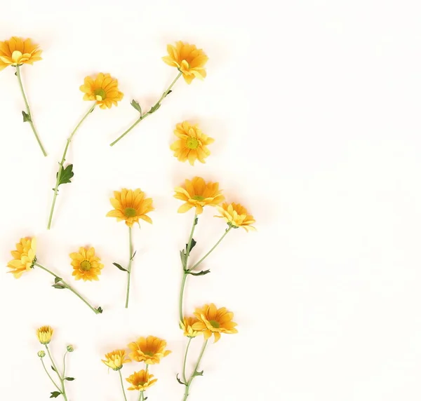 Květiny Pozadí Kompozice Žluté Květy Vzor Světlém Pozadí Byt Leží — Stock fotografie