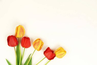 Çiçek kompozisyon arka plan. beyaz bir arka plan üzerinde kırmızı ve sarı lale buketi. üstten görünüm. kopya alanı. Tatil kavramı.