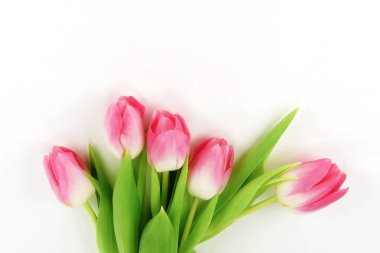 Çiçek kompozisyon arka plan. beyaz bir arka plan üzerinde pembe lale buketi. üstten görünüm. kopya alanı. Tatil kavramı.