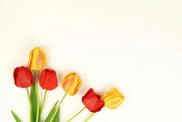 Fleurs Composition Fond Bouquet Tulipes Rouges Jaunes Sur Fond Blanc — Photo