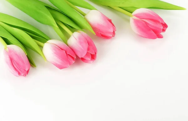 Květiny Pozadí Kompozice Kytice Růžové Tulipány Bílém Pozadí Pohled Shora — Stock fotografie