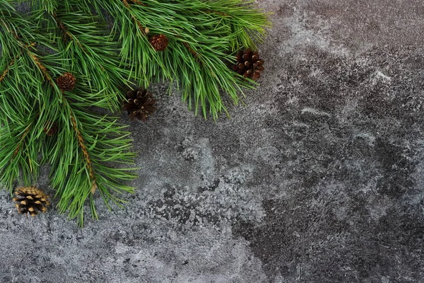 어두운 배경에 지점입니다 크리스마스 전나무 합니다 최고의 있습니다 — 스톡 사진