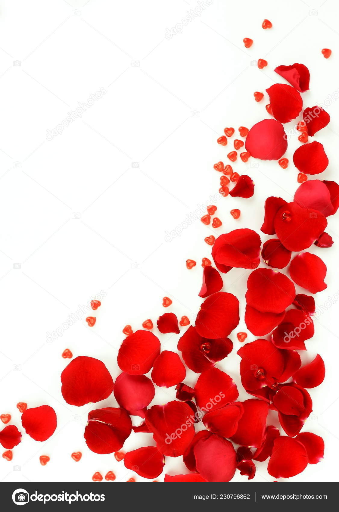 Flowers Background Red Roses Petals Red Small Hearts White