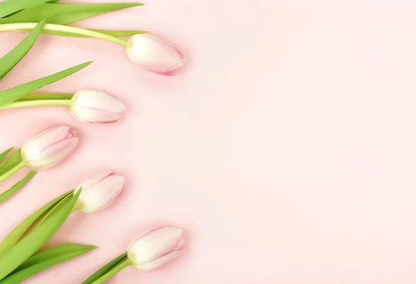 Fondo Composición Flores Ramo Tulipanes Rosados Sobre Fondo Rosa Pálido — Foto de Stock