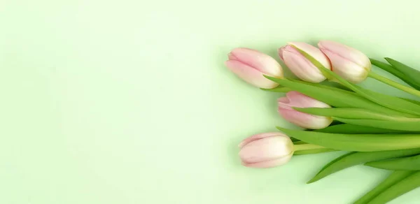 Composizione Dei Fiori Sfondo Banner Bouquet Tulipani Rosa Sfondo Verde — Foto Stock