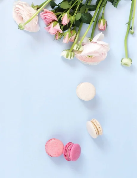 Fondo Flores Flores Rosas Rosas Ranunkulus Pasteles Macarrones Sobre Fondo — Foto de Stock