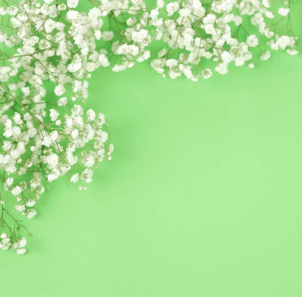 Flowers Background Bouquets White Gypsophila Flower Pale Green Background Top — Stock Photo, Image