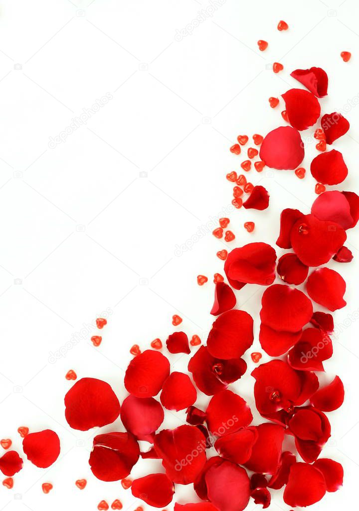 Flowers background. Red roses petals and red small hearts on white background. Top view. Copy space 