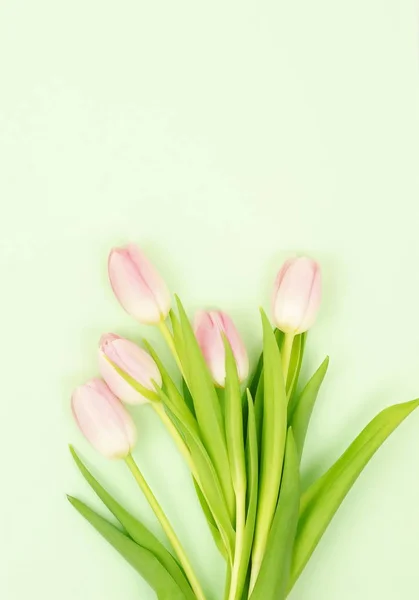 Composizione Fiori Sfondo Bouquet Tulipani Rosa Sfondo Verde Pallido Vista — Foto Stock