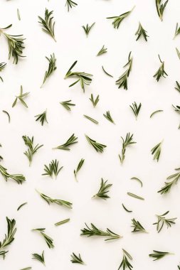 beyaz zemin üzerine yeşil yaprakları biberiye bitki deseni. Lay düz, view.abstract top