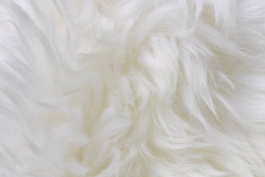 Beyaz koyun kürk yün doku arka plan yakın çekim