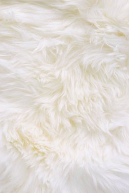 Beyaz koyun kürk yün doku arka plan yakın çekim
