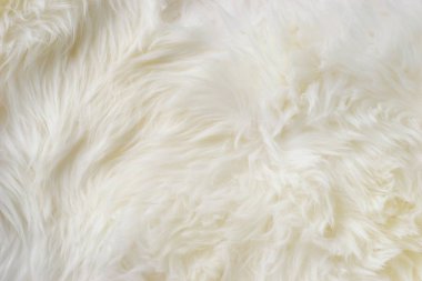 Beyaz koyun kürk yün doku arka plan yakın çekim