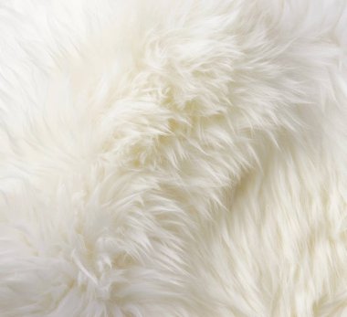Beyaz koyun kürk yün doku arka plan yakın çekim