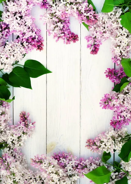 Vue Dessus Belles Fleurs Lilas Sur Fond Blanc Bois — Photo