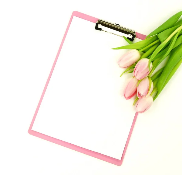 Vista Superior Belas Tulipas Bloco Notas Branco Fundo Branco — Fotografia de Stock