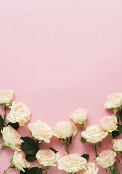 Vue Dessus Belles Fleurs Roses Sur Fond Rose — Photo