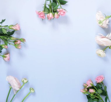 güzel çiçekler mor zemin üzerine yukarıdan