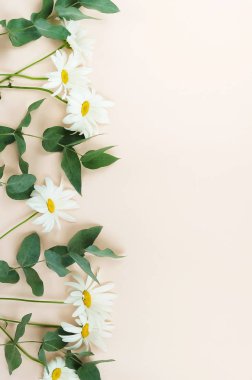 güzel çiçekler üstten görünüm bej renkli arka plan üzerinde