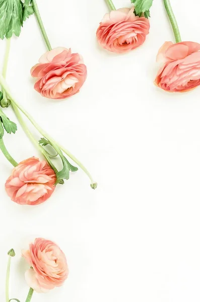 Pohled Shora Krásných Květů Bílém Pozadí — Stock fotografie