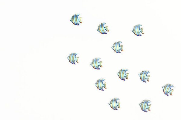 Composition of marine fish on white background, top view