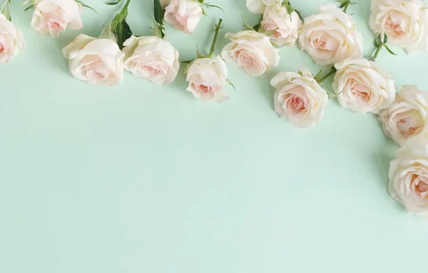 Vista Dall Alto Rose Bianche Sfondo Verde — Foto Stock
