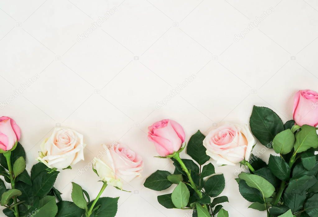 top view of roses and green leaves arranged on white backdrop