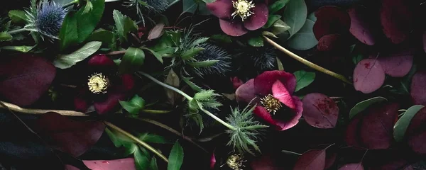 Vista Superior Hermosas Flores Sobre Fondo Negro — Foto de Stock