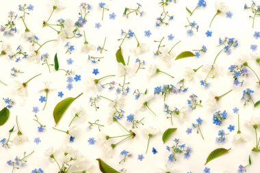 Beyaz arka plan üzerinde güzel ihale çiçek Üstten Görünüm