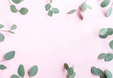 bitkiler ile yeşil okaliptüs yaprakları, pembe arka plan