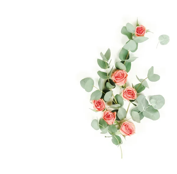 Plantas Con Hojas Eucalipto Verde Rosas Sobre Fondo Blanco —  Fotos de Stock