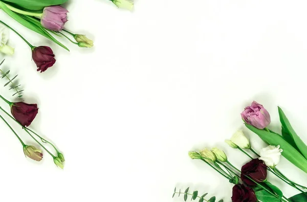 Rośliny Zielone Liście Kwiaty Białym Tle — Zdjęcie stockowe