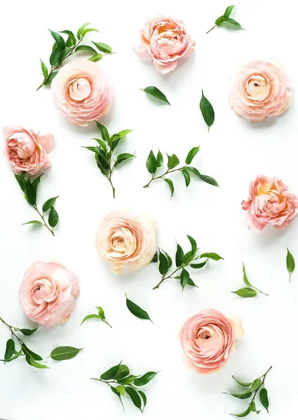 Ovanifrån Vackra Rosa Ranunculus Blommor Och Gröna Blad Vit Bakgrund — Stockfoto