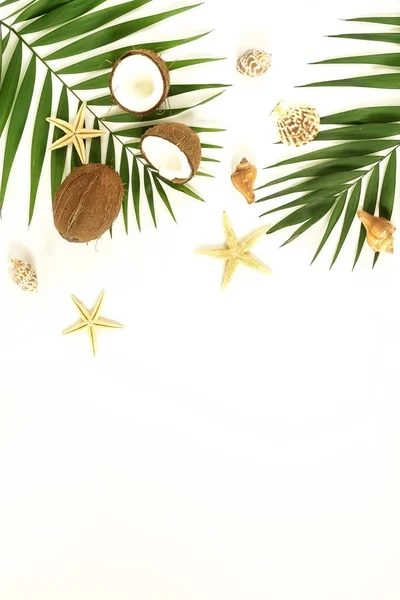 緑の葉 Seastars ココナッツの白い背景上に配置のトップ ビュー — ストック写真