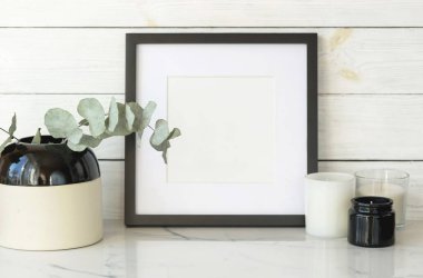 Yeşil okaliptüs twigs vazo ve beyaz duvar arka plan üzerinde boş çerçeve