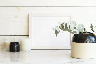 Yeşil okaliptüs twigs vazo ve beyaz duvar arka plan üzerinde boş çerçeve