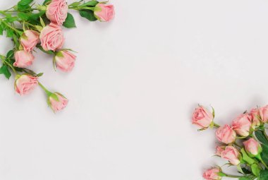 güzel güller en iyi görünümü gri arka plan üzerinde