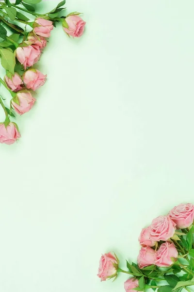 Top View Beautiful Roses Green Background — Stock Photo, Image