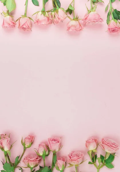 Vista Superior Belas Rosas Fundo Rosa — Fotografia de Stock